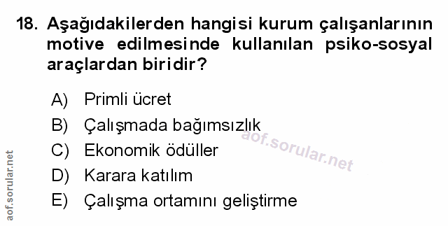 Soru 18