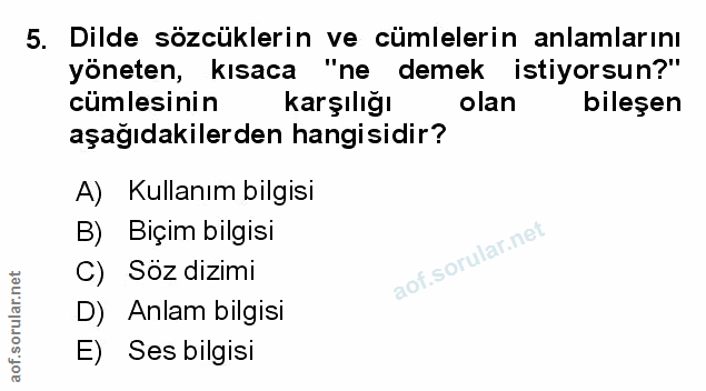 Soru 5