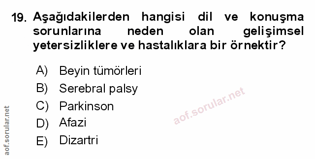 Soru 19