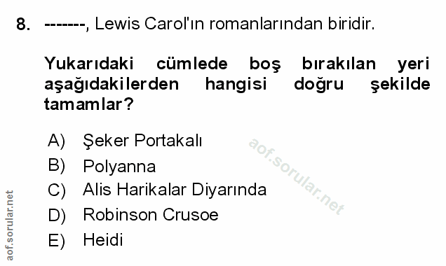 Soru 8