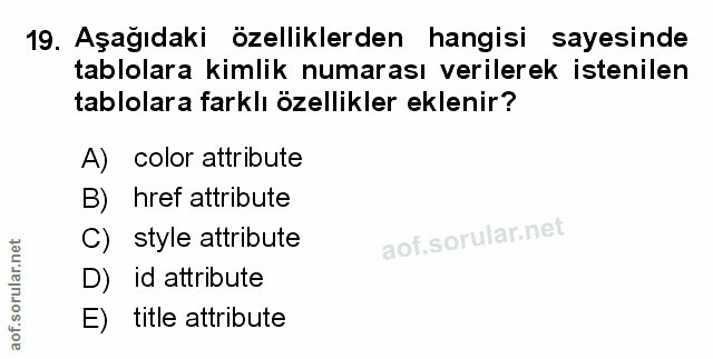 Soru 19