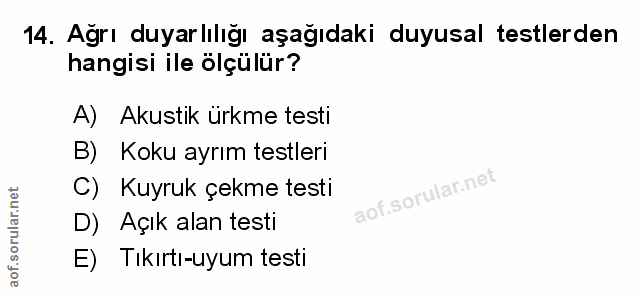 Soru 14