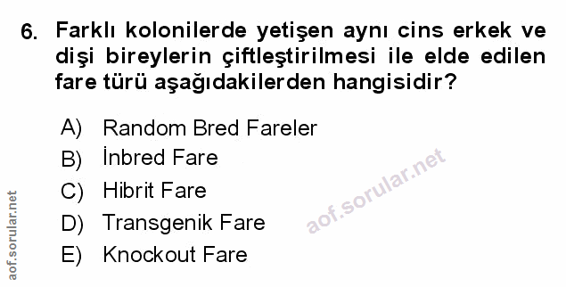 Soru 6