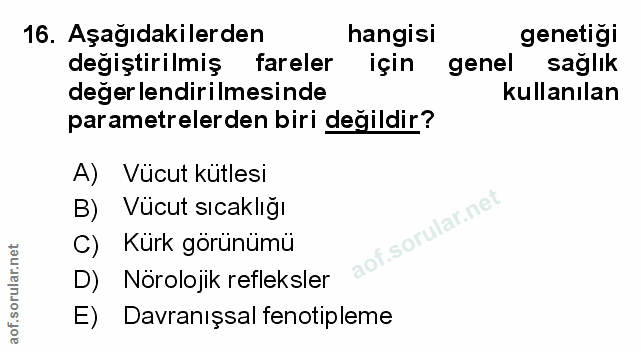 Soru 16