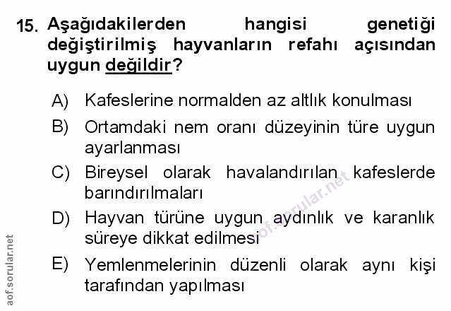 Soru 15