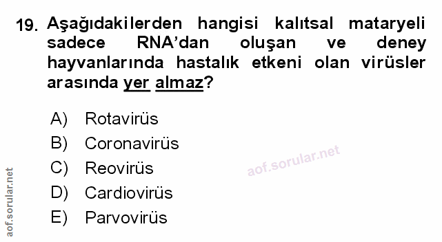 Soru 19
