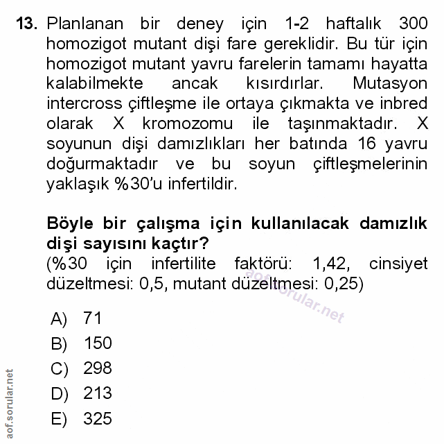 Soru 13