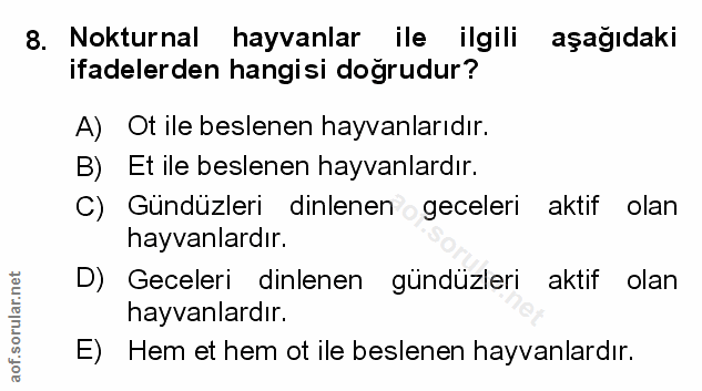 Soru 8