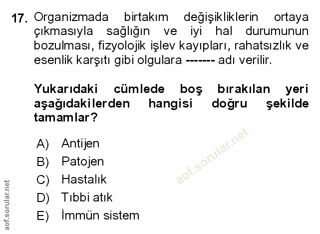 Soru 17