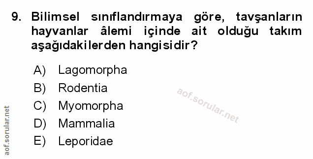 Soru 9