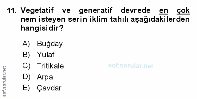 Soru 11