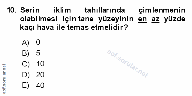 Soru 10