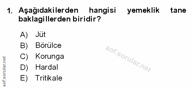Soru 1