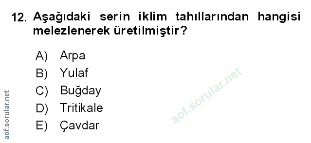 Soru 12