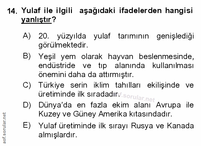 Soru 14