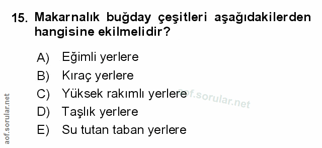 Soru 15