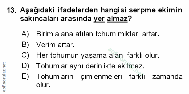 Soru 13