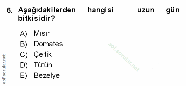 Soru 6
