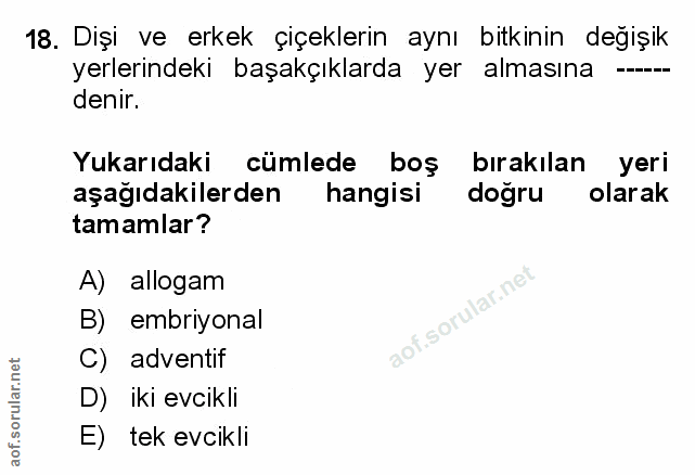 Soru 18