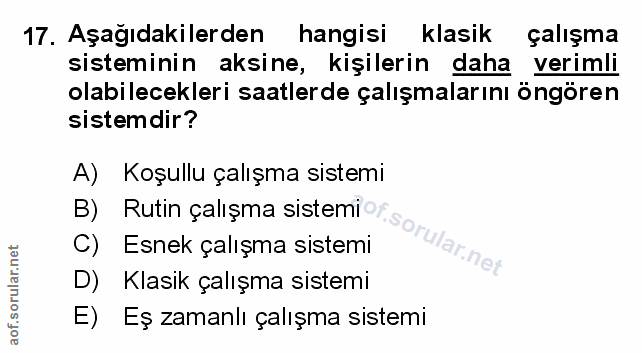 Soru 17