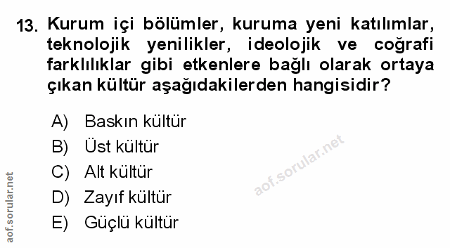 Soru 13
