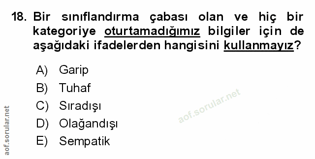 Soru 18