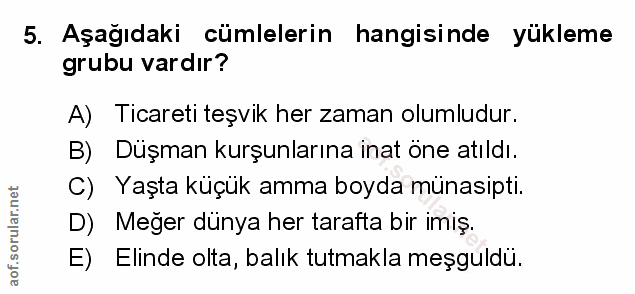 Soru 5