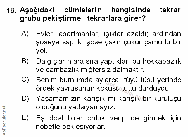 Soru 18