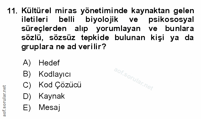 Soru 11