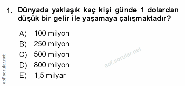 Soru 1
