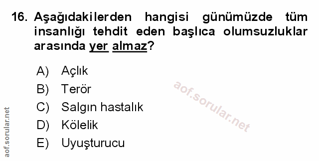 Soru 16