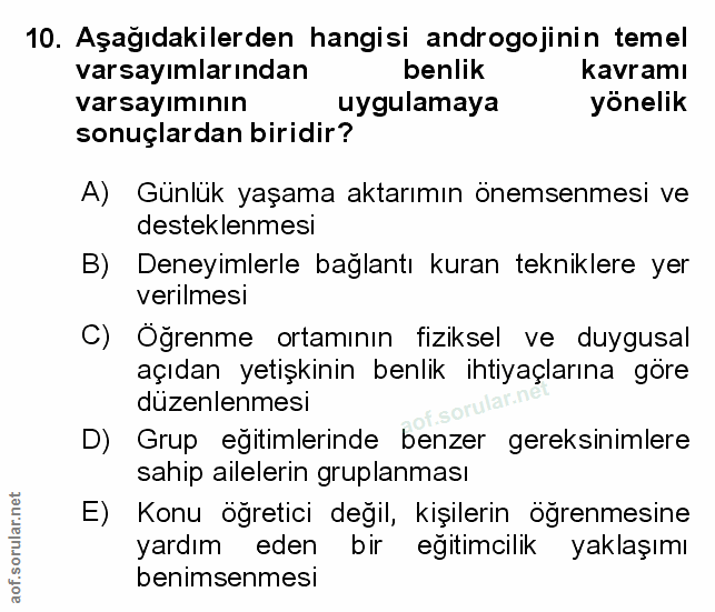 Soru 10