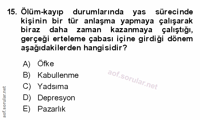 Soru 15