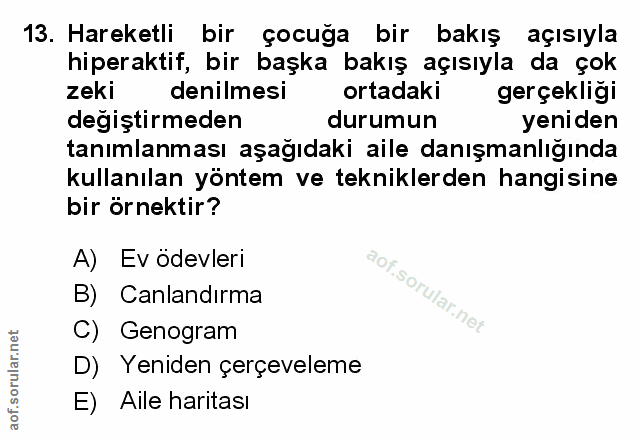 Soru 13