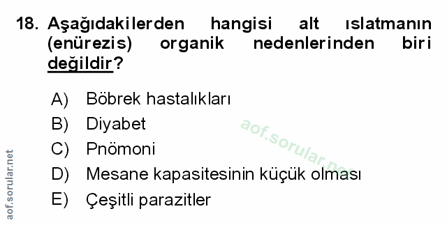 Soru 18
