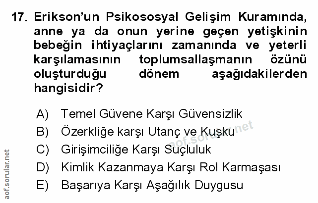 Soru 17