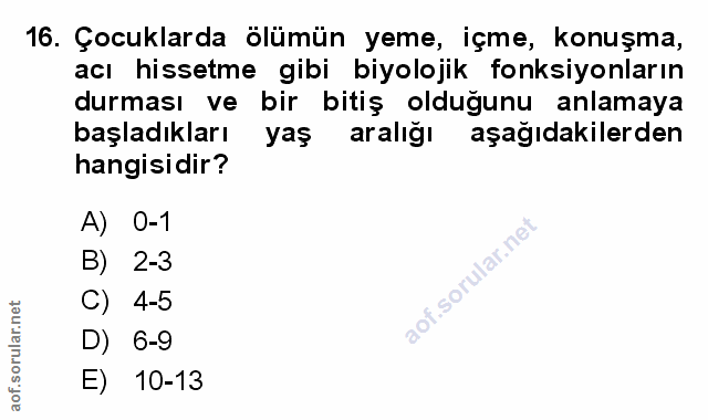 Soru 16