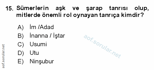 Soru 15