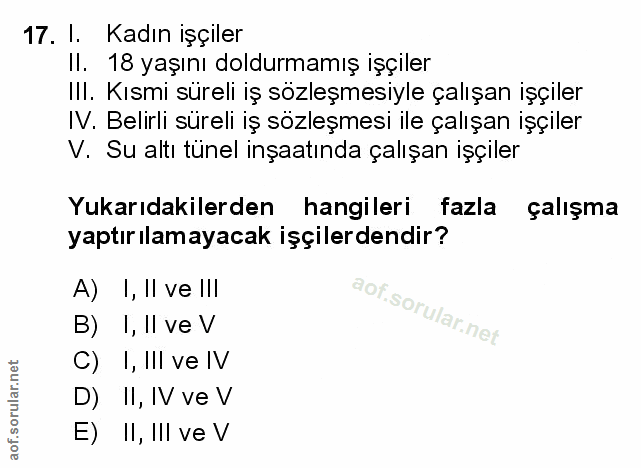 Soru 17