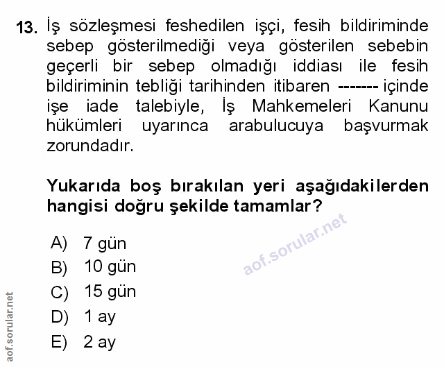 Soru 13
