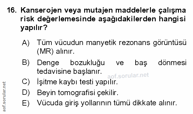 Soru 16