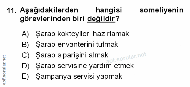 Soru 11