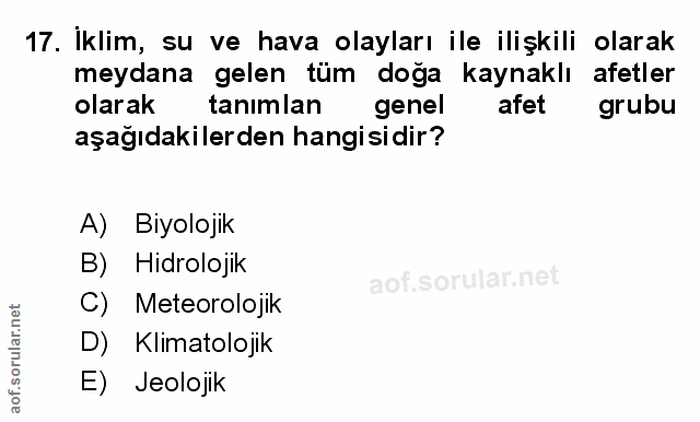 Soru 17