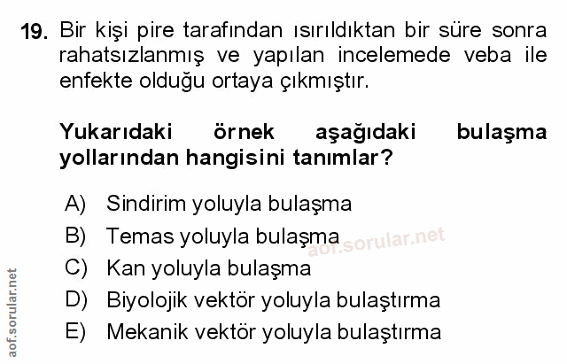 Soru 19