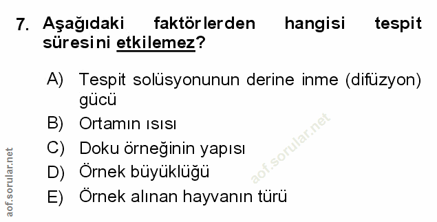Soru 7