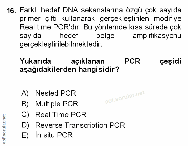 Soru 16