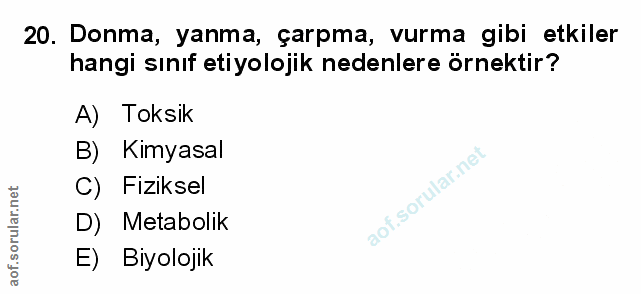 Soru 20