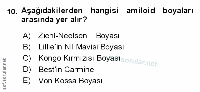 Soru 10