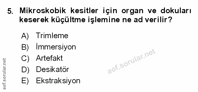 Soru 5