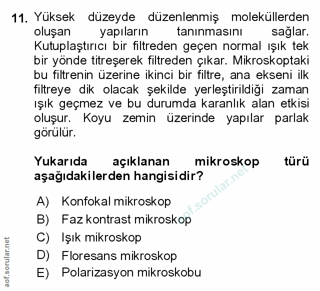 Soru 11